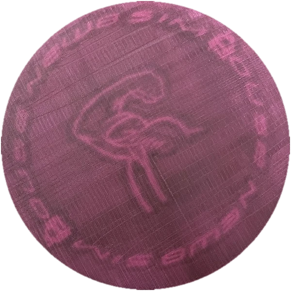 Newb SimHouse Custom Discs NSH7 Gunnz disc golf disc