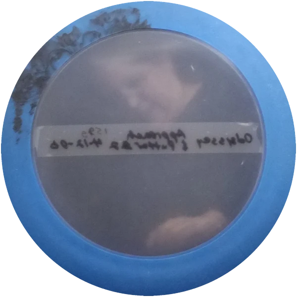 Quest Applied Technologies Odyssey Approach & Putter disc golf disc