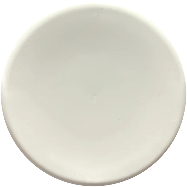 Finish Line Discs Input disc golf disc