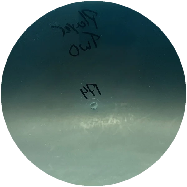 Discount Disc Golf Player Two disc golf disc