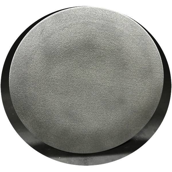 National Perk Service Yosemite disc golf disc