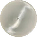 Alfa Discs Galileo disc