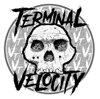 Terminal Velocity Discs logo