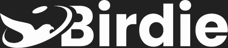 Birdie.lv logo