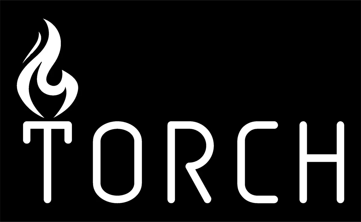 Torch Discs logo